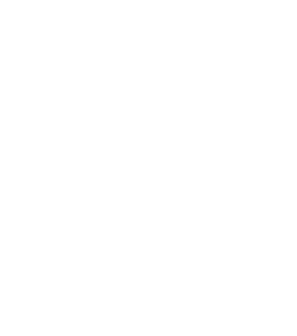 toddl icon